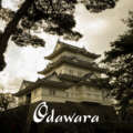 Chateaux Japon odawara