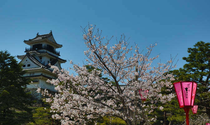 Photos du château de Kochi – Sakura 2014