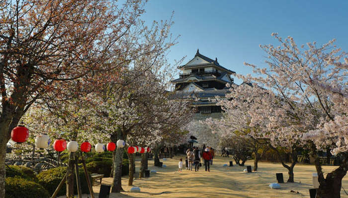 Photos du château de Matsuyama