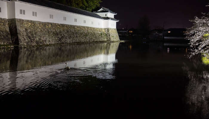 En passant par Kyoto.