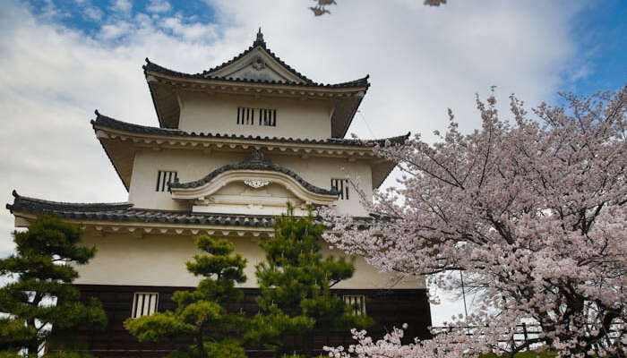 Photos du château de Marugame