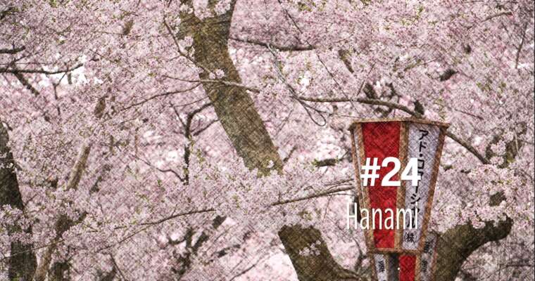 Hanami : admirer les fleurs de cerisiers au Japon